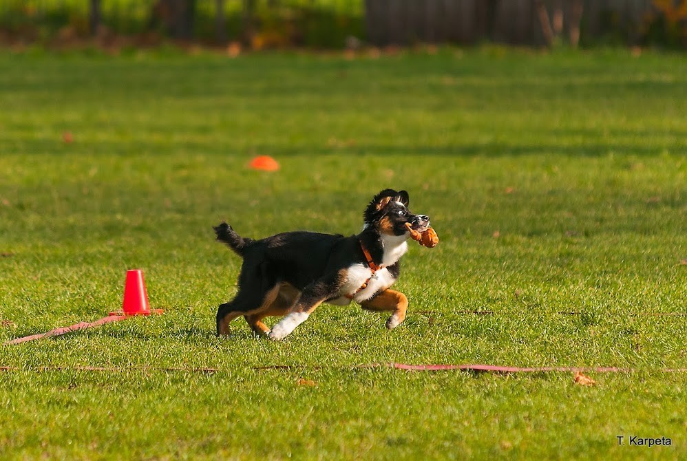20131111_4769.jpg
